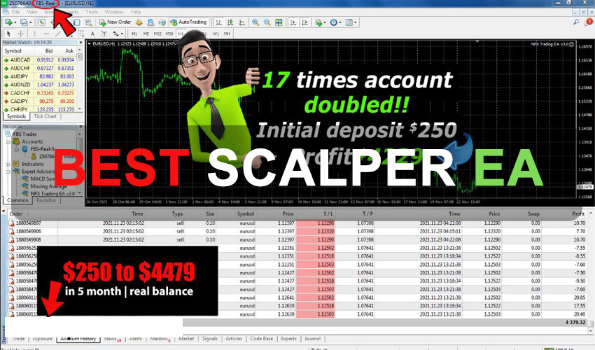 Best Scalper EA Free Download