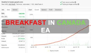 Breakfast in Canada EA Free Download