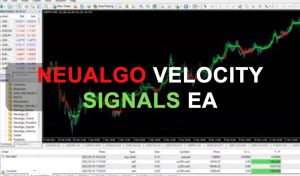 NeuAlgo Velocity Signals EA Free Download