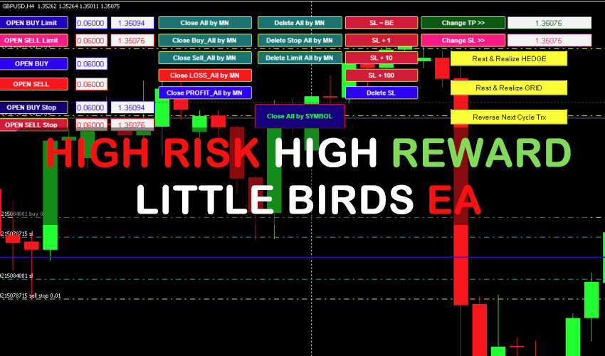 High Risk, High Reward – Little Birds EA